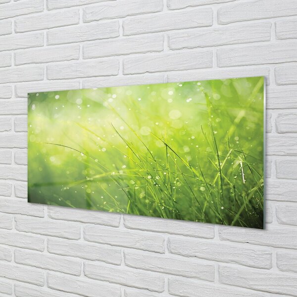 Quadro vetro Gocce di rugiada 100x50 cm 2 appendini