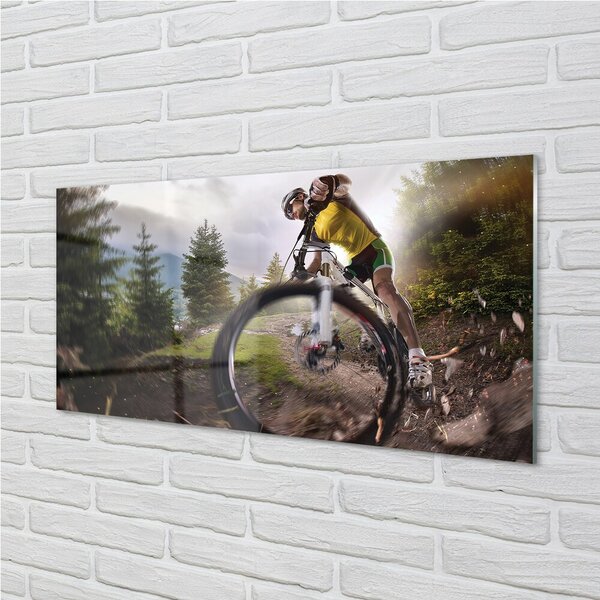 Quadro in vetro Mountain bike cloud 100x50 cm 2 appendini