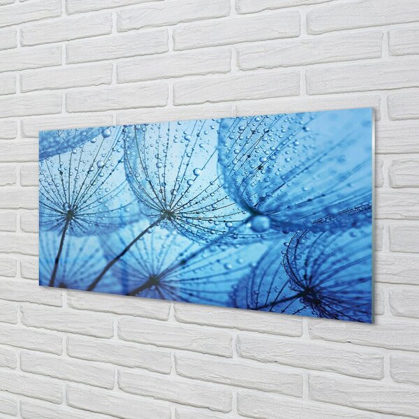 Quadro in vetro Gocce di macro soffiante 100x50 cm 2 appendini