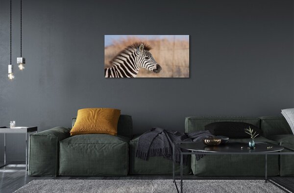 Quadro in vetro Zebra 100x50 cm 2 appendini