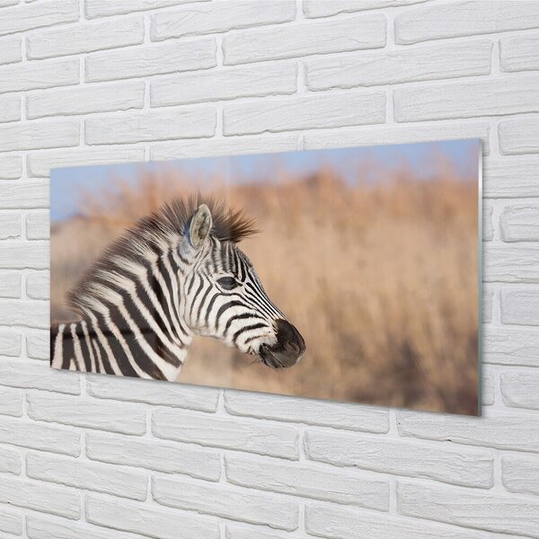 Quadro in vetro Zebra 100x50 cm 2 appendini