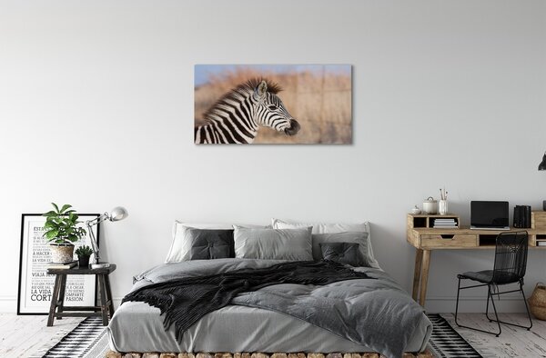 Quadro in vetro Zebra 100x50 cm 2 appendini