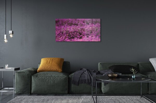 Quadro in vetro Campo di heather 100x50 cm 2 appendini