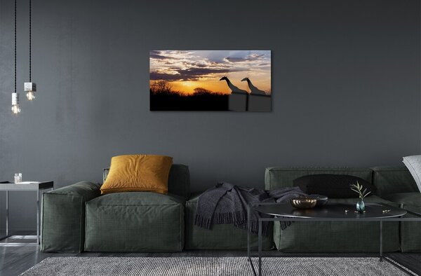 Quadro su vetro Giraffe alberi nuvole 100x50 cm 2 appendini
