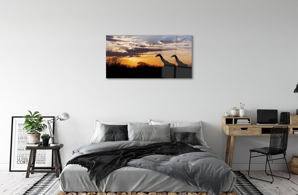 Quadro su vetro Giraffe alberi nuvole 100x50 cm 2 appendini
