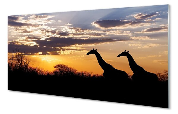 Quadro su vetro Giraffe alberi nuvole 100x50 cm