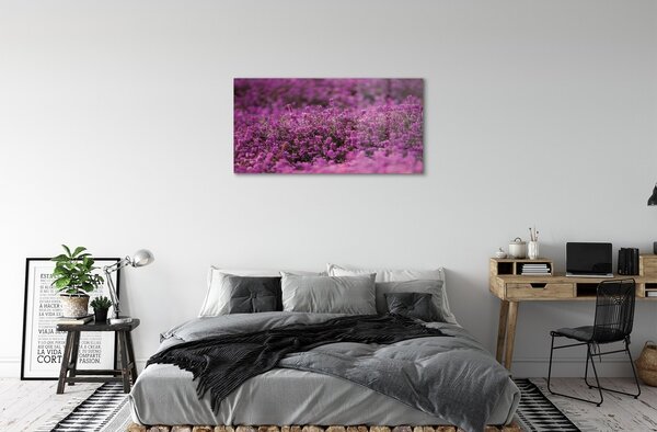 Quadro in vetro Campo di heather 100x50 cm 2 appendini