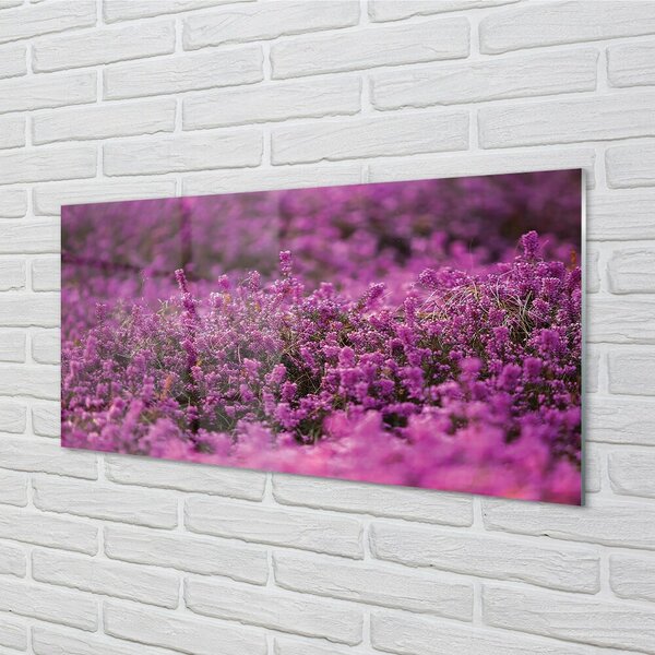 Quadro in vetro Campo di heather 100x50 cm 2 appendini