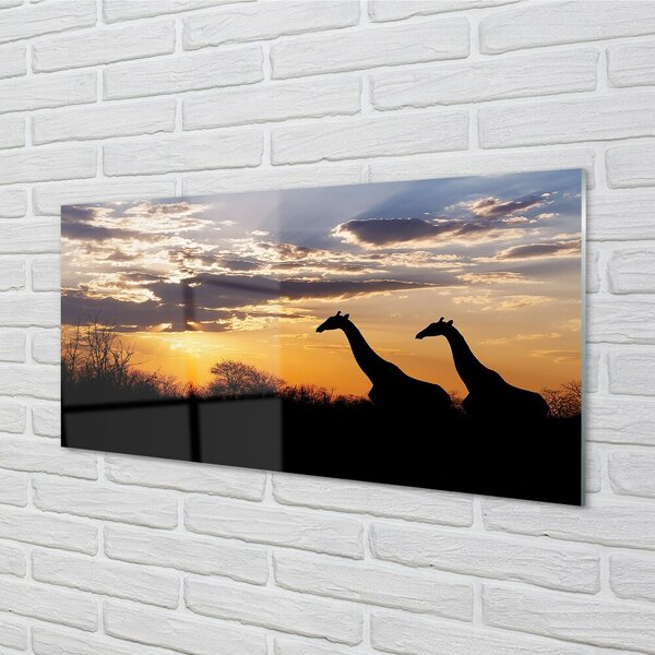 Quadro su vetro Giraffe alberi nuvole 100x50 cm 2 appendini
