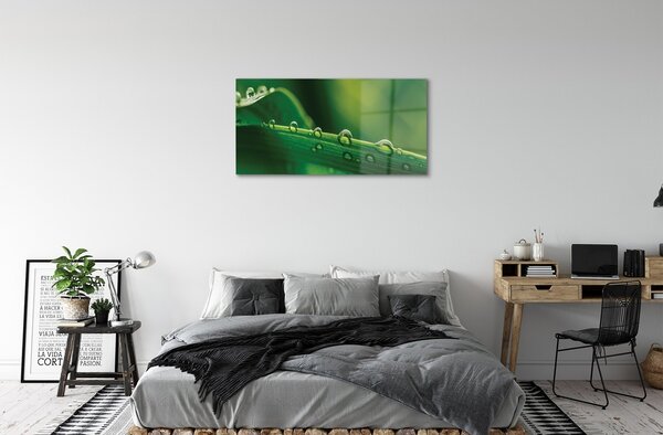 Quadro di vetro Macro gocce d'erba 100x50 cm 2 appendini