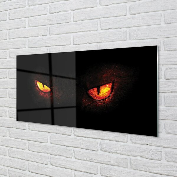 Quadro su vetro Occhi luminosi 100x50 cm 2 appendini