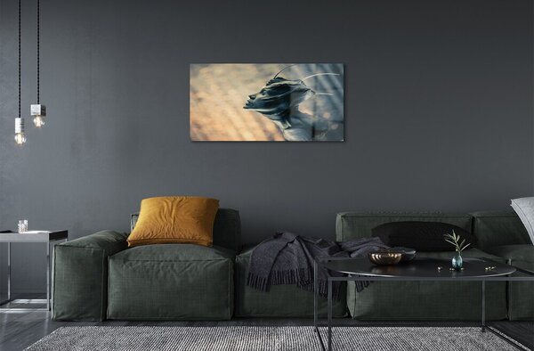 Quadro su vetro Testa di figura 100x50 cm 2 appendini