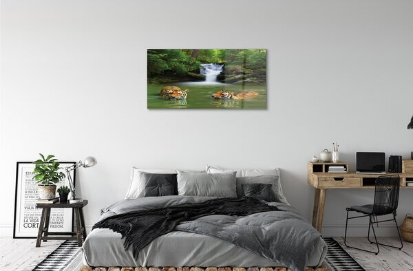 Quadro di vetro Tigri delle cascate 100x50 cm 2 appendini