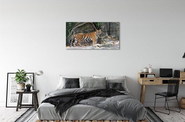 Quadro su vetro Tigre della giungla 100x50 cm 2 appendini