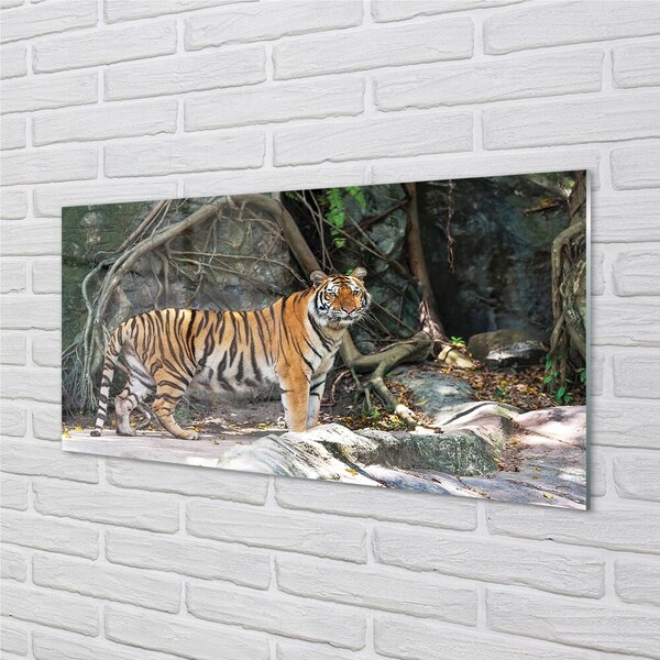 Quadro su vetro Tigre della giungla 100x50 cm 2 appendini