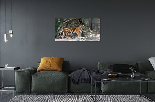 Quadro su vetro Tigre della giungla 100x50 cm 2 appendini