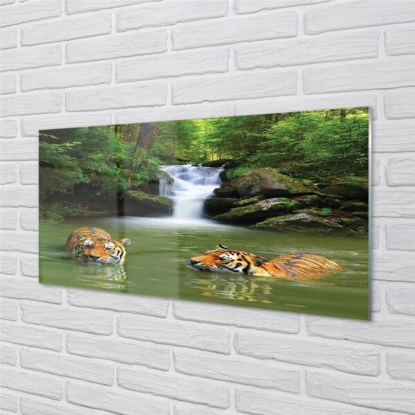 Quadro di vetro Tigri delle cascate 100x50 cm 2 appendini