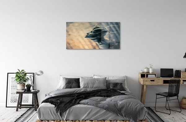 Quadro su vetro Testa di figura 100x50 cm 2 appendini