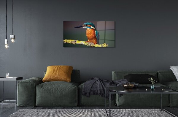 Quadro su vetro Uccello colorato su un ramo 100x50 cm 2 appendini
