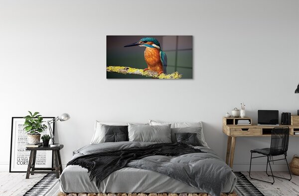 Quadro su vetro Uccello colorato su un ramo 100x50 cm 2 appendini