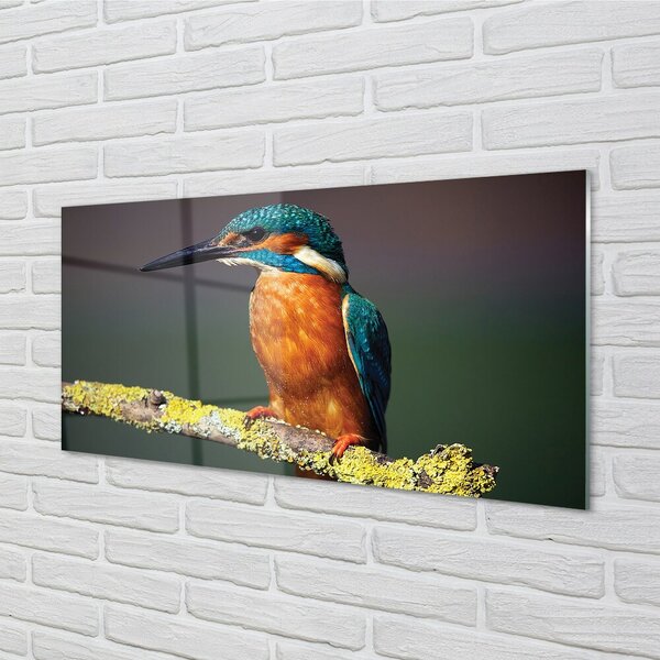 Quadro su vetro Uccello colorato su un ramo 100x50 cm 2 appendini