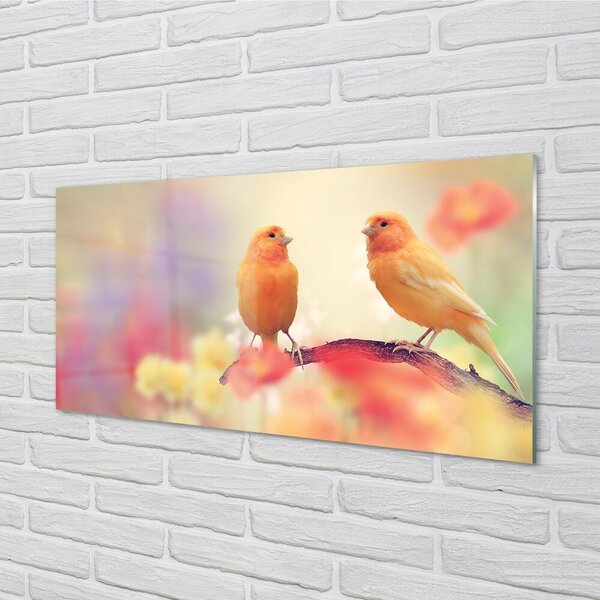 Quadro in vetro Pappagalli colorati 100x50 cm 2 appendini