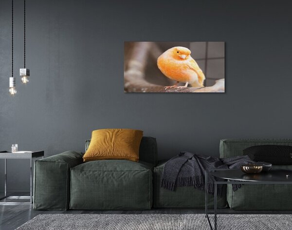 Quadro di vetro Ramo del pappagallo 100x50 cm 2 appendini