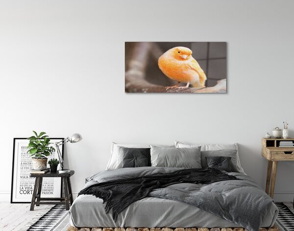 Quadro di vetro Ramo del pappagallo 100x50 cm 2 appendini