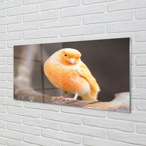 Quadro di vetro Ramo del pappagallo 100x50 cm 2 appendini