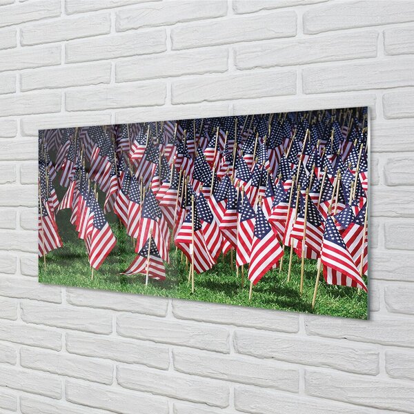 Quadro vetro Bandiere degli stati uniti 100x50 cm 2 appendini
