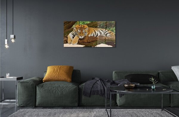 Quadro vetro Albero della tigre 100x50 cm 2 appendini