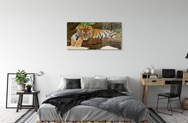 Quadro vetro Albero della tigre 100x50 cm 2 appendini