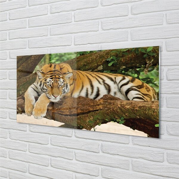 Quadro vetro Albero della tigre 100x50 cm 2 appendini