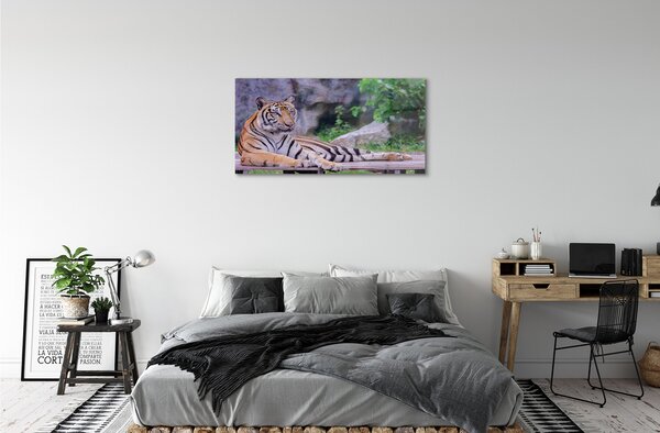 Quadro su vetro La tigre nello zoo 100x50 cm 2 appendini