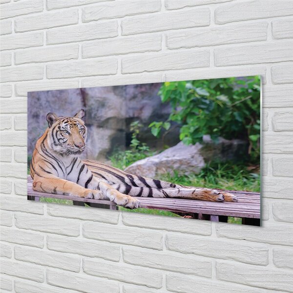 Quadro su vetro La tigre nello zoo 100x50 cm 2 appendini