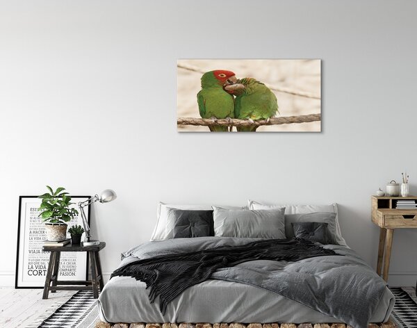Quadro vetro Pappagalli verdi 100x50 cm 2 appendini