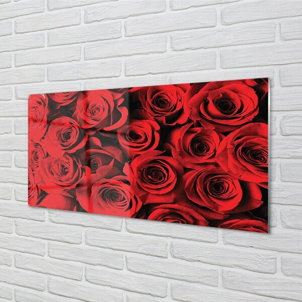 Quadro vetro Le rose 100x50 cm 2 appendini