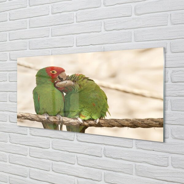 Quadro vetro Pappagalli verdi 100x50 cm 2 appendini
