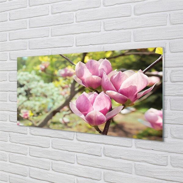 Quadro in vetro Alberi di magnolia 100x50 cm 2 appendini