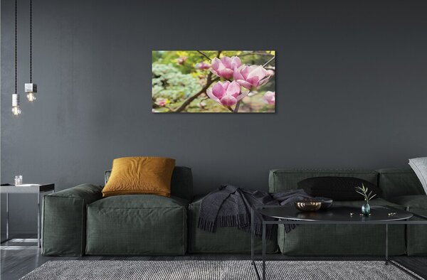 Quadro in vetro Alberi di magnolia 100x50 cm 2 appendini