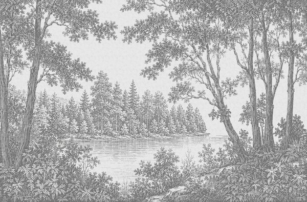 Carta da parati Fiume con alberi e cespugli, Carta da parati Natura, Carta da parati popolare, t00767 - Tapeko.it
