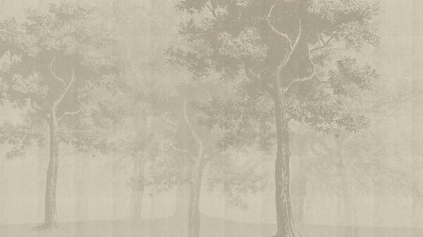 Carta da parati Gruppo di alberi in una foresta avvolta dalla nebbia, Carta da parati Natura, Carta da parati popolare, t00786 - Tapeko.it