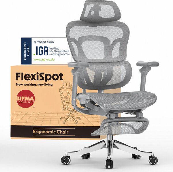 FLEXISPOT ErgoX Max: Sedia da ufficio ergonomica con capacità di carico fino a 300 kg, dotata di poggiapiedi, poggiatesta regolabile in 4 direzioni e braccioli regolabili in 5 direzioni, supporto lombare e dorsale integrato. Colore: grigio
