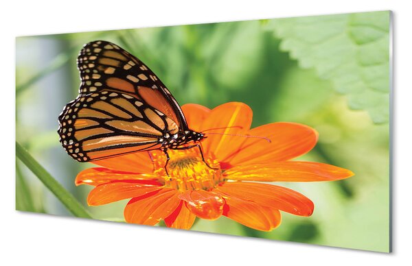 Quadro acrilico Fiore di farfalla colorato 120x60 cm
