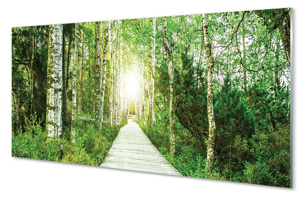 Quadro acrilico Birch Forest Road Birch 120x60 cm