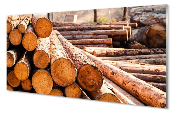 Pannello paraschizzi cucina Composizione di tronchi di legno 125x50 cm