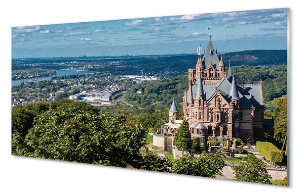 Quadro acrilico Germania Castello di città panorama 140x70 cm