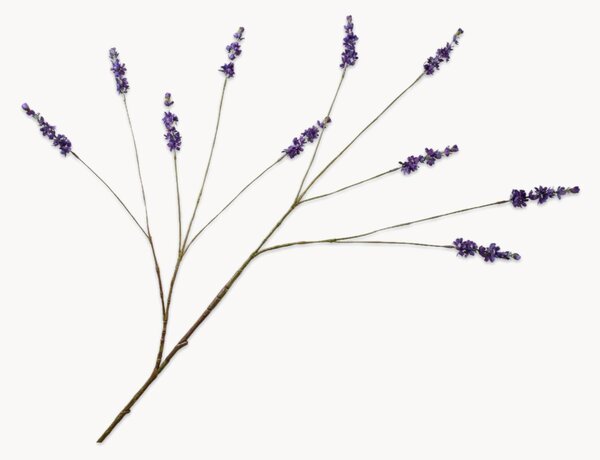 Set di 3 rami artificiali fatto a mano Lavender