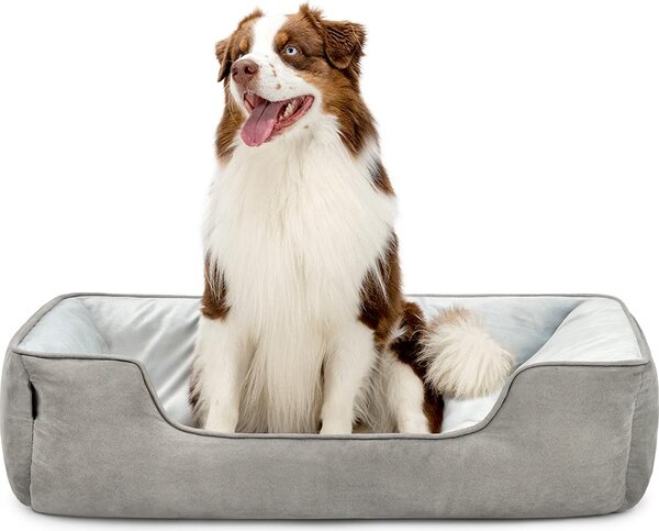 Cuccia per cani lionto - cesto reversibile 2 in 1, morbidamente imbottito e di facile manutenzione, con ingresso basso, 110x80 cm, grigio chiaro/grigio scuro