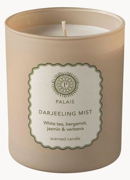 Candela profumata Darjeeling Mist (frutti, limone, erbe aromatiche)